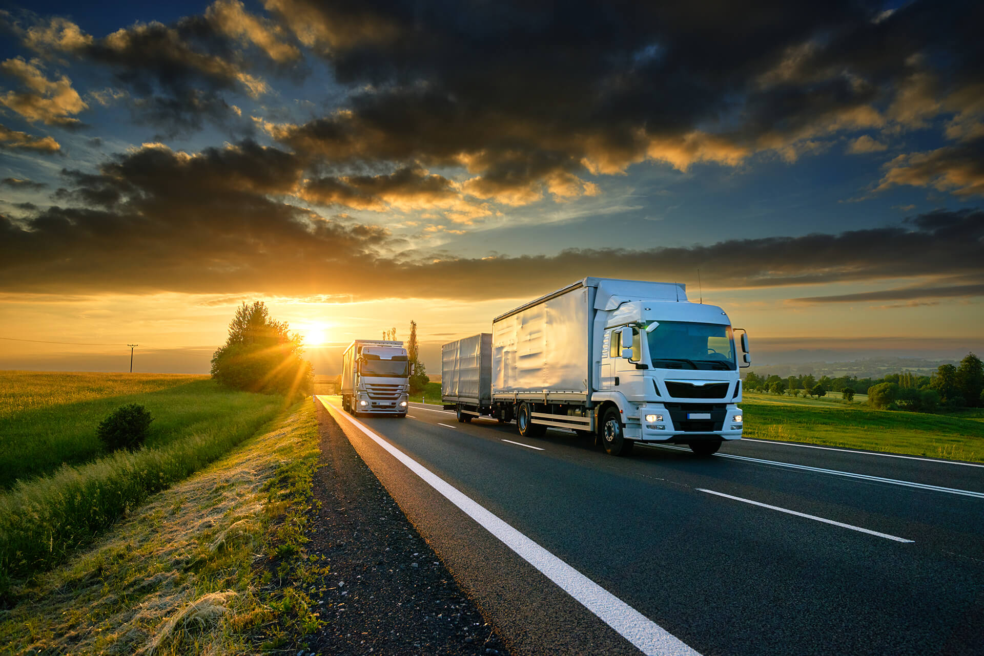 Road Transport Logistics